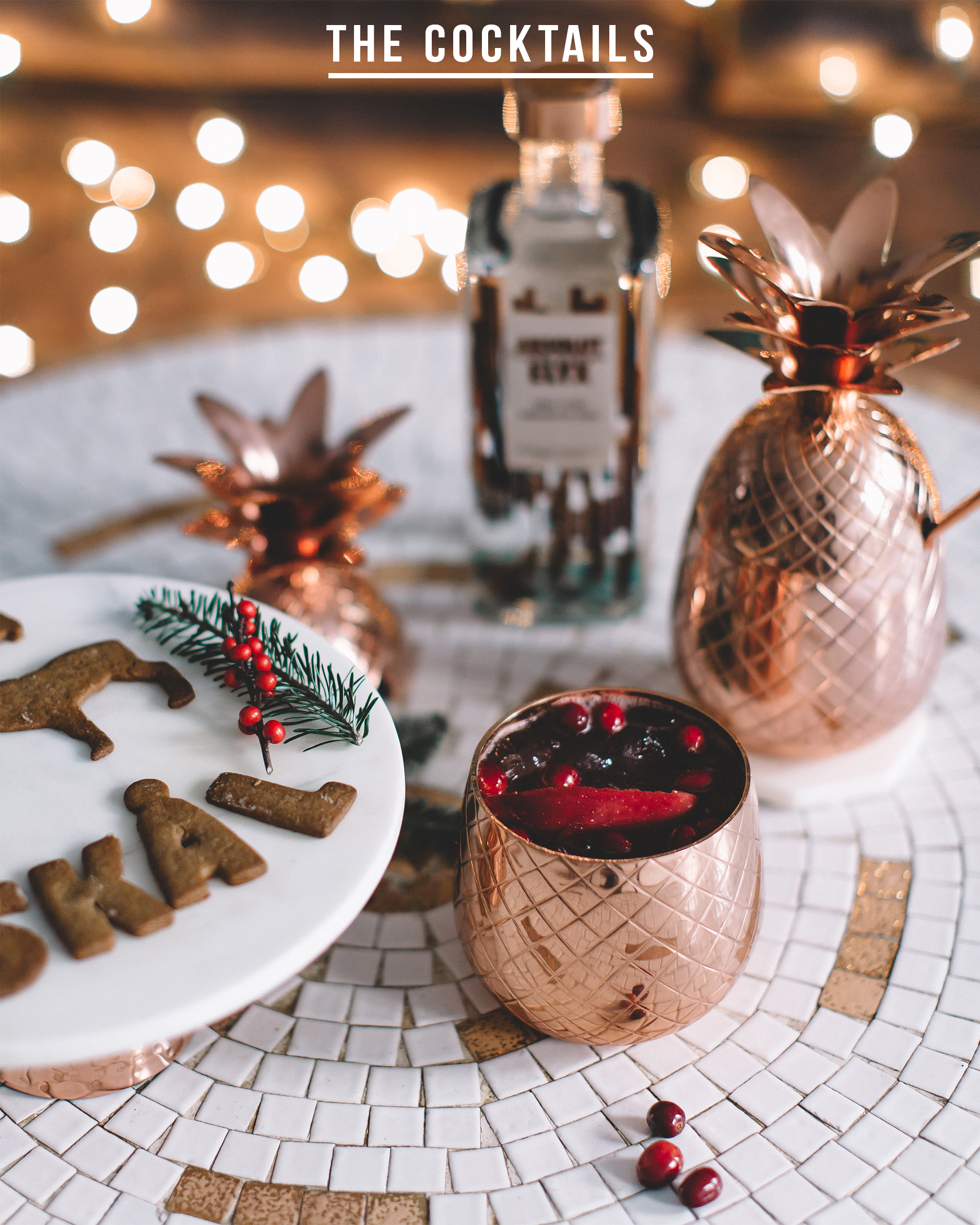 http://www.brightbazaarblog.com/wp-content/uploads/2016/12/how-to-throw-swedish-cocktail-party-absolut-elyx-1.jpg