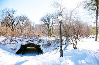 34 NYC & Central Park Snow Pictures Of The 2016 Blizzard - Bright ...