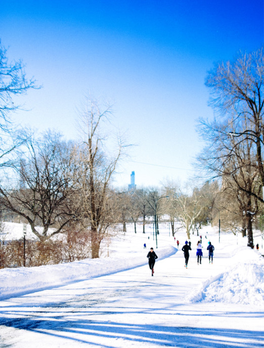 34 NYC & Central Park Snow Pictures Of The 2016 Blizzard - Bright ...