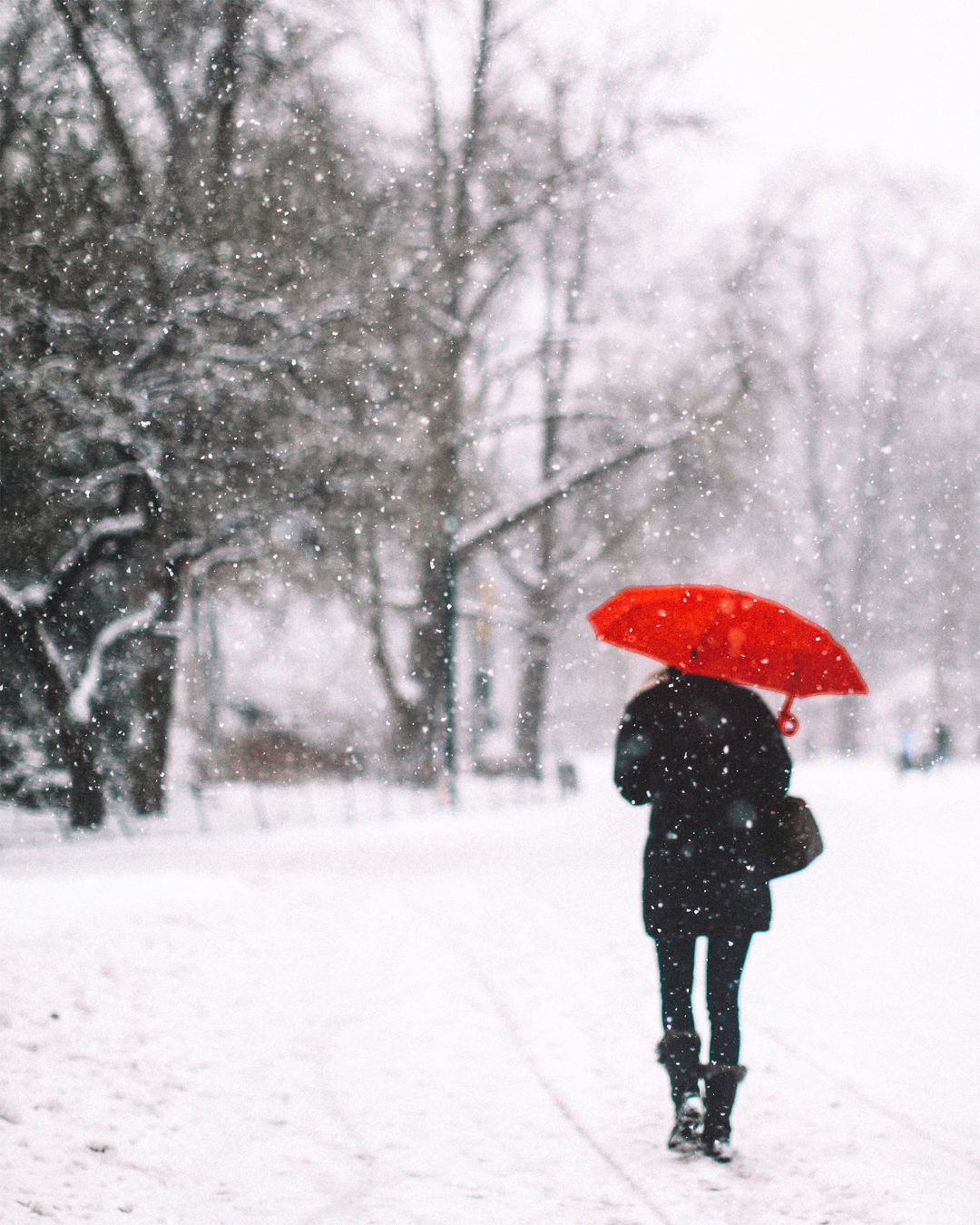 New York City Snow Day - Bright Bazaar by Will Taylor