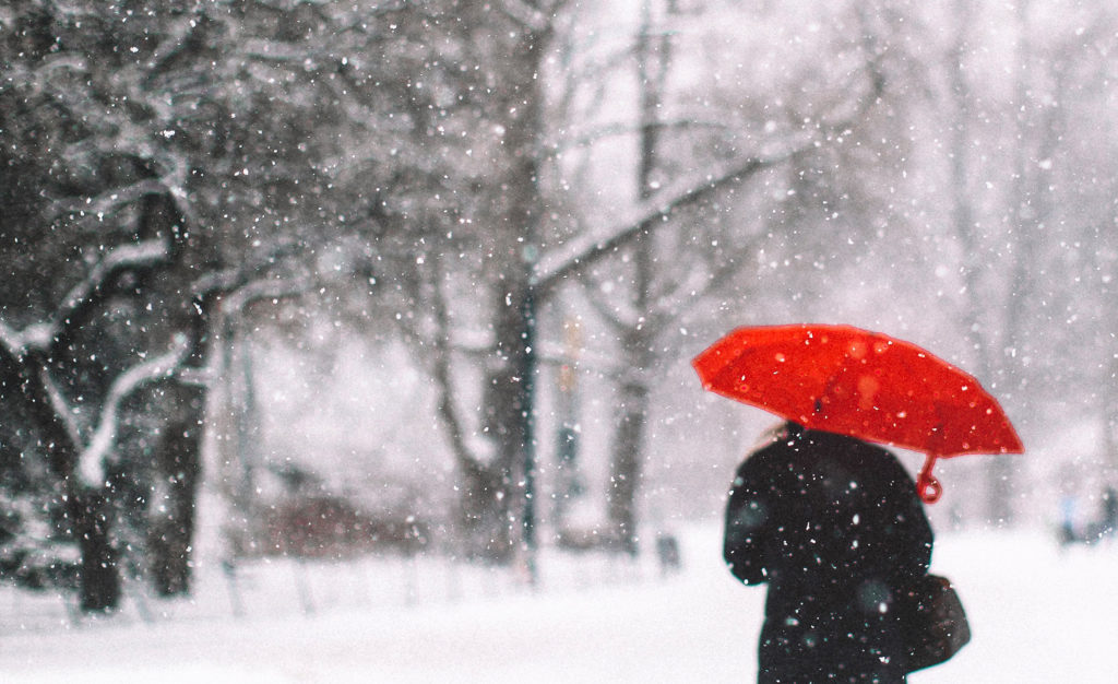 New York City Snow Day - Bright Bazaar by Will Taylor