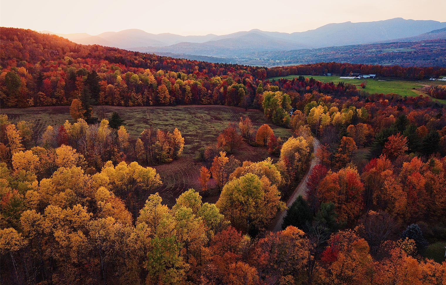 A Travel Guide To Fall Leaves in Vermont Best Spots To See Fall Foliage