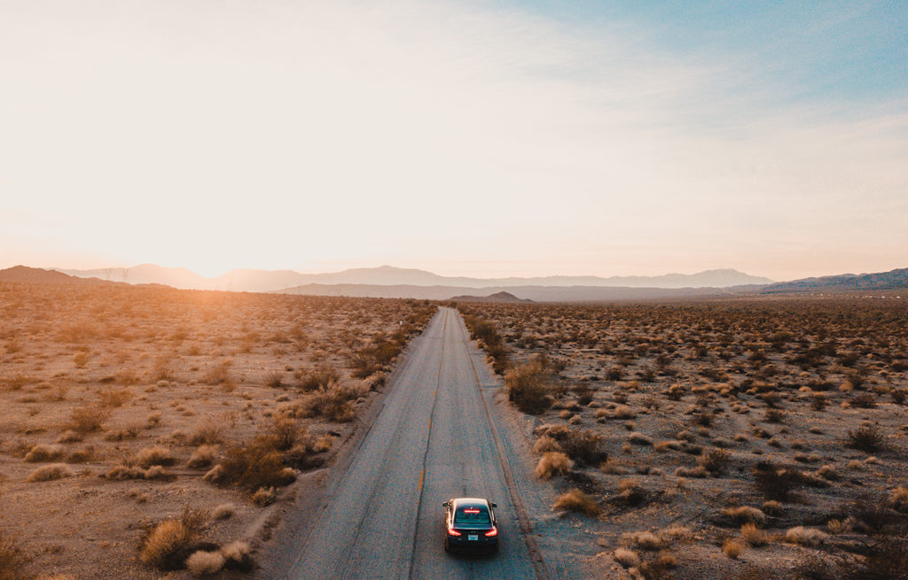 Palm Springs Road Trip - Bright Bazaar by Will Taylor